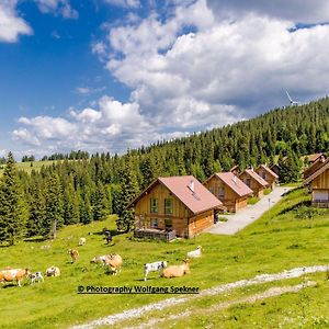 Posch Alpe Beautiful Holiday Home In Weinebene With Sauna Exterior photo