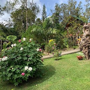 Oasis De Tendea - Bali A Farino Exterior photo