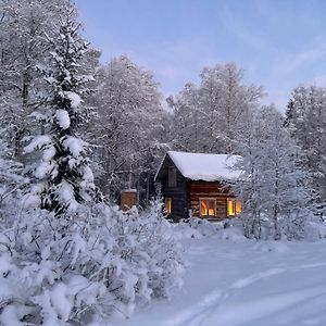 הוילה Jorn Gemuetliche Blockhuette Mit Aussentoilette Und Badezimmer Im Haupthaus Exterior photo