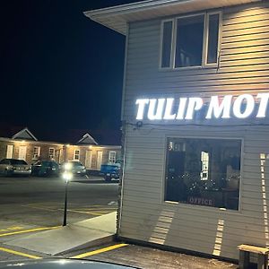 וודסטוק Tulip Motel Exterior photo
