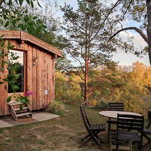 Villemur-sur-Tarn La Cabane En Bois Exterior photo