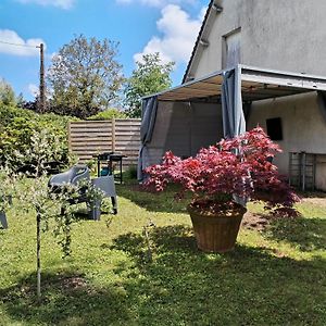 דירות Muides-sur-Loire Sur La Route De Chambord Exterior photo