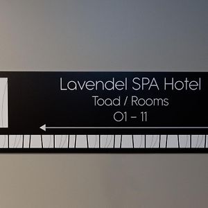 טאלין Lavendel Spa Hotel Room photo
