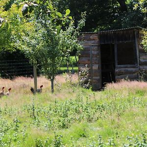 הוילה Peyrelongue-Abos Ecogite Rural La Cle Des Champs Room photo