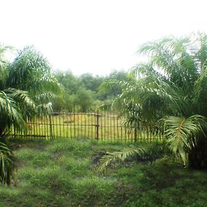 Ko Yao Yaoisland Resort And Farm Exterior photo