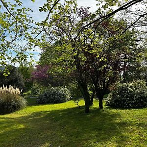 Montoire-sur-le-Loir Au Bonheur Dupre B&B Exterior photo