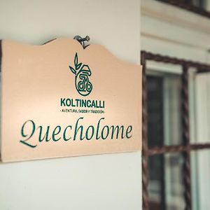 Xico Koltincalli Room photo