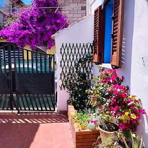 הוילה Torpè Nel Cortile Della Casa Di Carta, Due Singole Unita Exterior photo