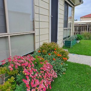 הוילה צ'לטנהאם Beach Garden Getaway Exterior photo