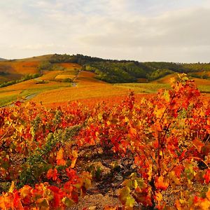 הוילה Le Panoramic Chiroubles Beaujolais Exterior photo