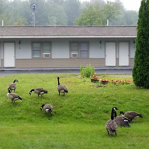 The Becket Motel Exterior photo