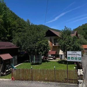 Şugag Pensiunea Casa Transalpina Exterior photo