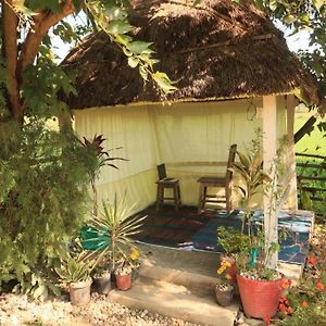 Bardiya Sumi Holiday Home Exterior photo