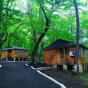 Qeleduz Woodencottages Exterior photo