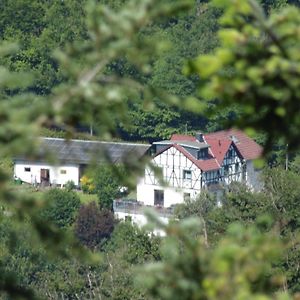 Waldbreitbach Ferienwohnung Schaefer Exterior photo