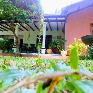 Panama Mango Villa Exterior photo