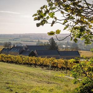 לינה וארוחת בוקר Panzoult Domaine Beausejour Exterior photo