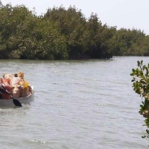 לינה וארוחת בוקר Sanyang Mangrove Beach Exterior photo