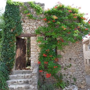 הוילה Saint-Trinit Maison Familiale Exterior photo