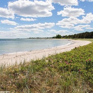 Ljugarn Neues Ferienhaus Auf Gotland 700 Meter Zum Meer Exterior photo