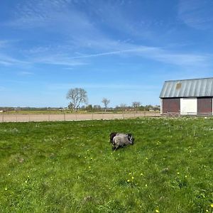 דירות Spjutstorp Osterlen Oasis Exterior photo