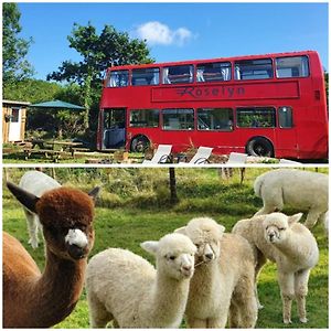 הוילה בובי טרייסי Double Decker Bus On An Alpaca Farm Sleeps 8, 5 Mins Drive To Dartmoor Exterior photo