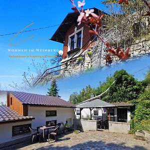 פרייבורג Riesling - Wohnen Im Weinberg In Der Toskana Des Nordens Exterior photo