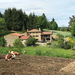 הוילה Maison Rustique Raffinee A Saint Hilaire Cusson La Valmitte Avec Paturages Exterior photo