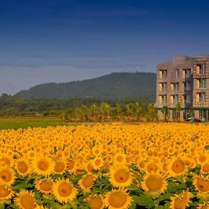 Goseong-ri Hotel Mcc Exterior photo