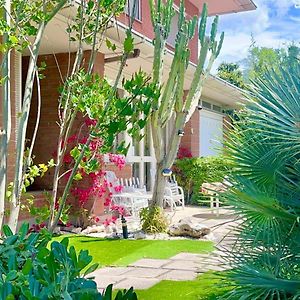 לטינה Villa Brando - Exclusive Stay Near Sabaudia And Pontine Beaches - Not A Typical Villa, This Is A Unique Experience Exterior photo