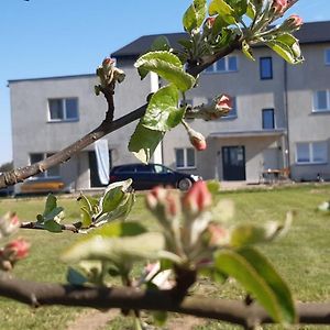 Wrocen Noclegi Nad Biebrza Stara Szkola Exterior photo