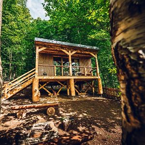 דירות Treehouse Obrovisko Muran Room photo