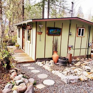 הוילה אשפורד Mt Rainier Little Green Cabin On Big Creek! Exterior photo