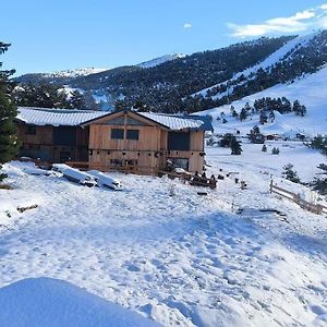 הוילה גראולייר Little Wooden Cabin Exterior photo