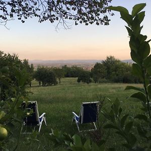 Grumolo Pedemonte Villa Tugurio. La Tua Casa Immersa Nel Verde Exterior photo