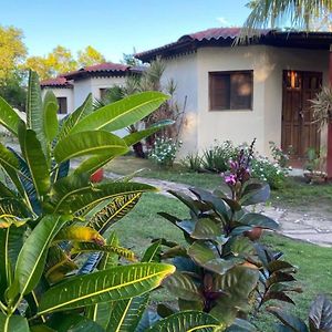 Las Peñitas Room In Cabin - Cabana With Breakfast And Pool On The Beach Exterior photo