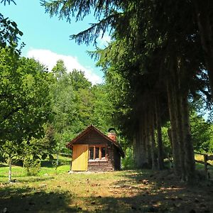 הוילה דספוטובאץ Planinska Kuca Palacinka Exterior photo