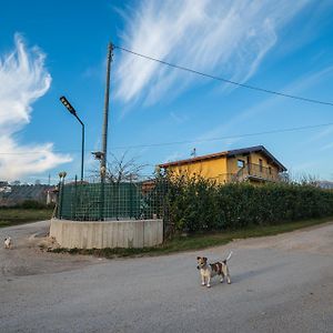 לינה וארוחת בוקר איסרניה Roberta House Exterior photo