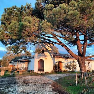 הוילה סוטרן Le Castel De Lamothe Exterior photo