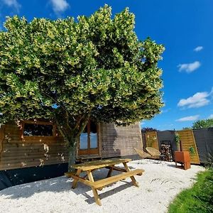 הוילה Lisle-sur-Tarn Tiny House Petite Balneo Cheminee Exterieure Exterior photo