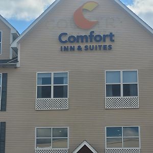 דותן Comfort Inn & Suites Exterior photo