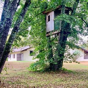 הוילה Villandraut Le Refuge Des Bois Exterior photo