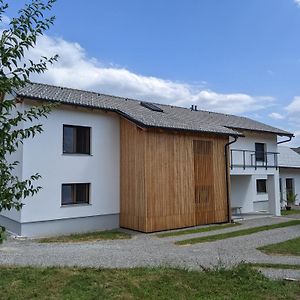 Videm  Klancarjeva Domacija - Spacious Countryside Apartment On An Eco Farm Exterior photo