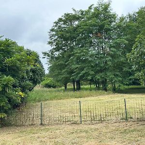 הוילה Sainte-Terre Domain De Montvert - 5 Min From Saint Emilion Exterior photo