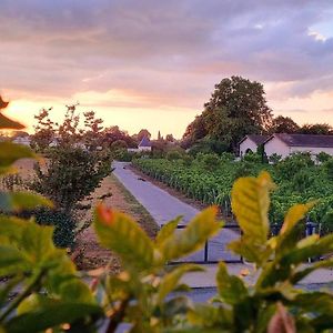 Appartements Libourne Saint-Emilion Exterior photo