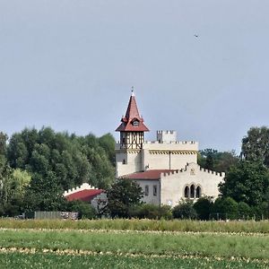 מלון Burg Schleibnitz Bei Wanzleben Exterior photo