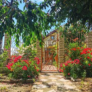 מלון יורילובקה Casa Madalina Exterior photo