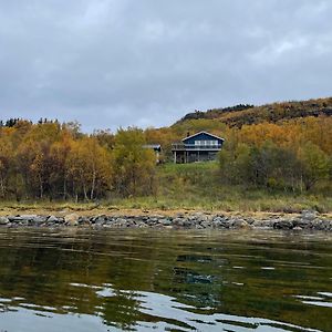 Engenes Villa Blue Ocean - Aurora Borealis Or Midnight Sun Exterior photo