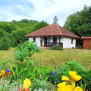 בית הארחה Tur'ya Paseka 	It-Hutorok Exterior photo