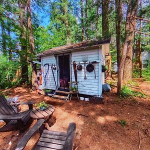 הוילה Glenfield The Stabbin Cabin On Grant Island, Brantingham Lake - Hottub, Boat, Pet Friendly Exterior photo